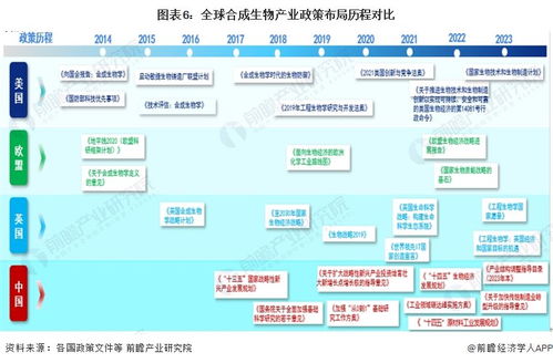 2024年中國合成生物產(chǎn)業(yè)全景圖譜 規(guī)模躍升、區(qū)域集聚與技術突破